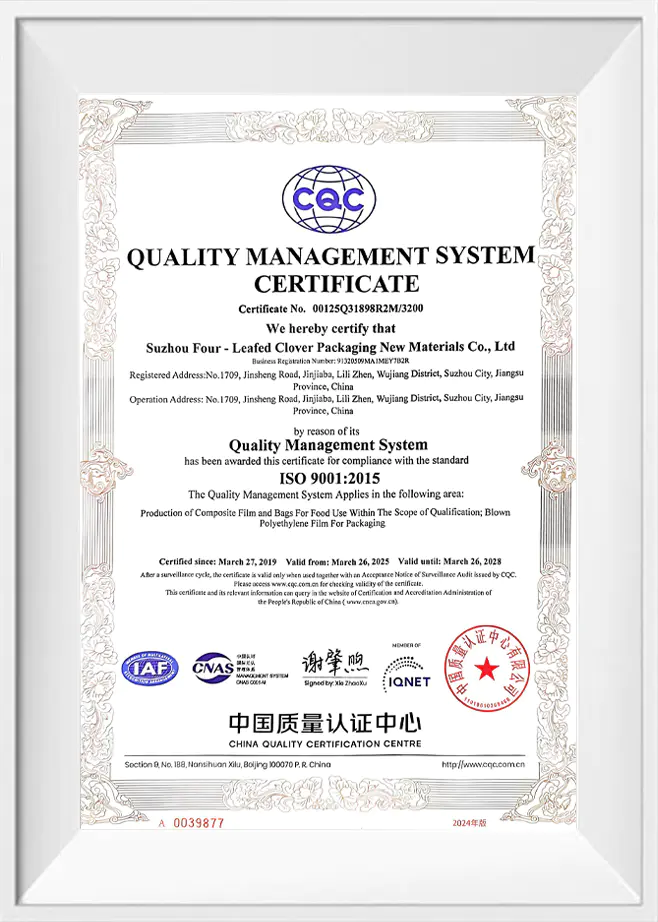Quality Management System Certificate